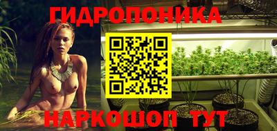 прущие крисы Шебекино