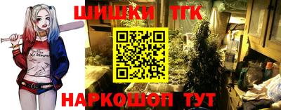 амф Шахты
