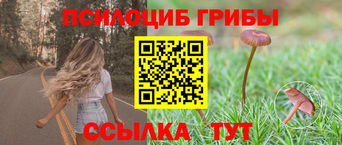 Галлюциногенные грибы Cubensis  Вход с VPN  Галлюциногенные грибы MAGIC MUSHROOMS  Видное 